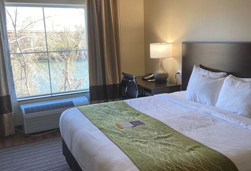 标准间带双人床, Comfort Inn