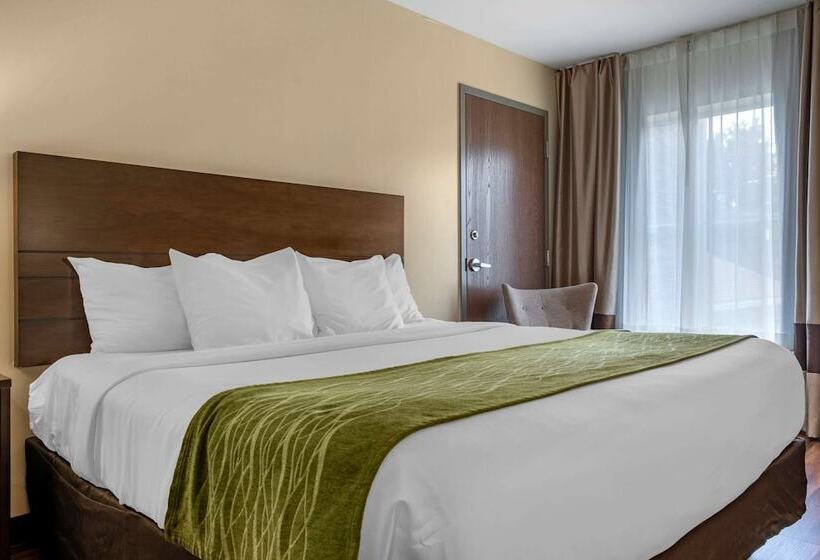 스탠다드 룸 더블 침대, Comfort Inn