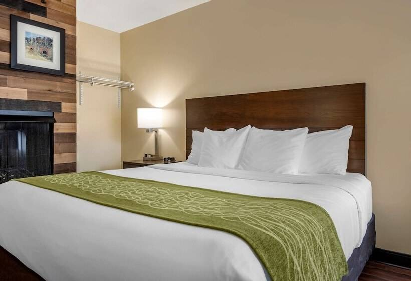 标准间带双人床, Comfort Inn