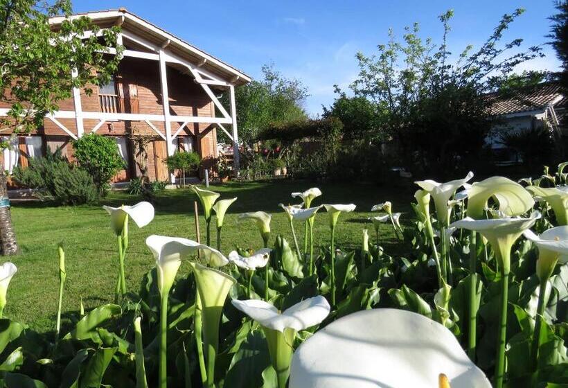 غرفة قياسية سرير كينج, Les Arums De Fondeminjean