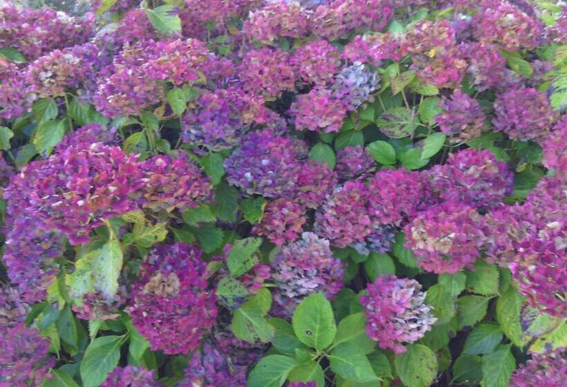 Номер Стандарт Вид на Сад, Manoir De Kerguéréon