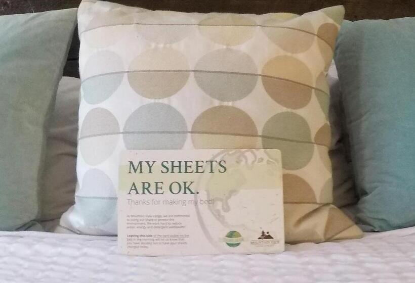 غرفة قياسية فردية سرير كينج, Mountain View Lodge