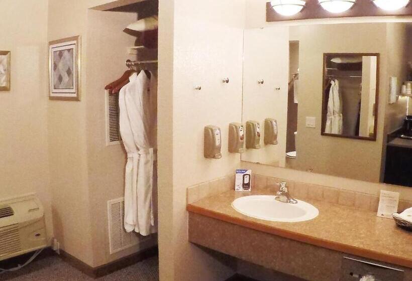 غرفة قياسية فردية سرير كينج, Mountain View Lodge