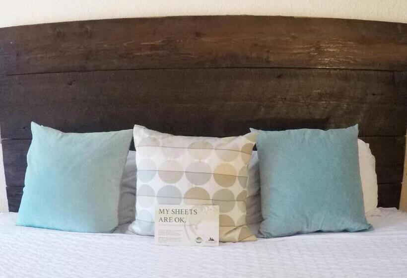 غرفة قياسية فردية سرير كينج, Mountain View Lodge