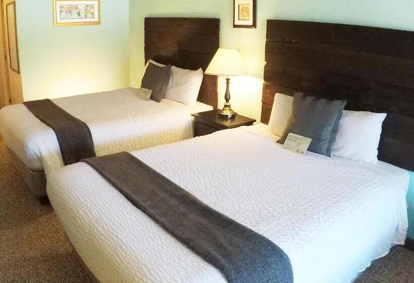 غرفة قياسية, Mountain View Lodge