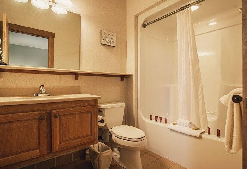 Номер Стандарт Двуспальная Кровать, Nantahala Village