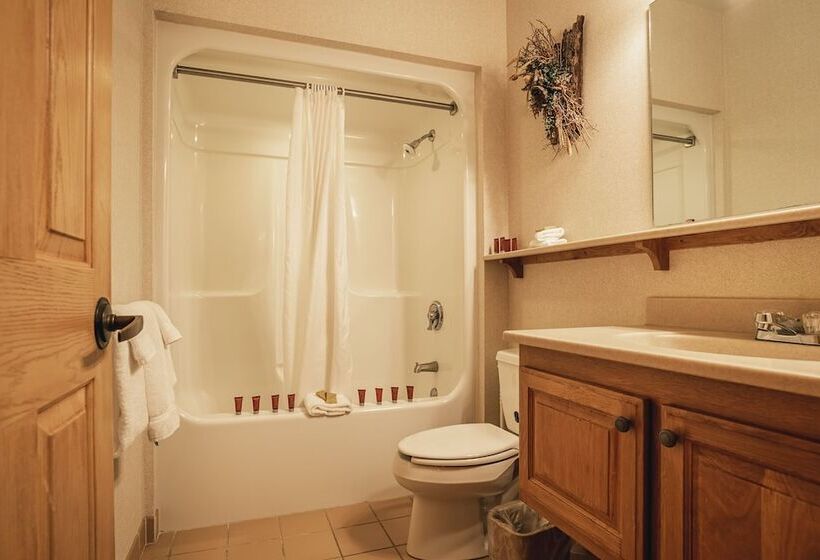 Номер Стандарт Двуспальная Кровать, Nantahala Village