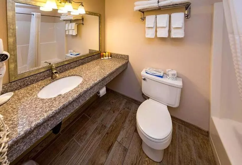 Deluxe Suite King Bed, Nisqually Lodge