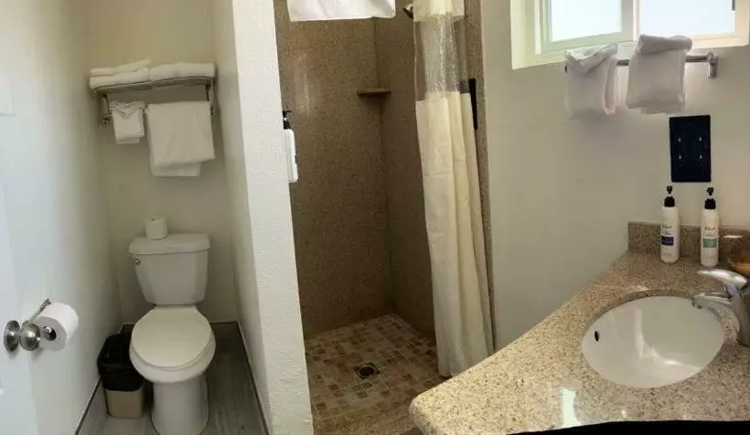 اتاق استاندارد با تخت بزرگ, Ocean Palms Motel