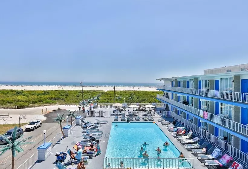 デラックススタジオ, Olympic Island Beach Resort