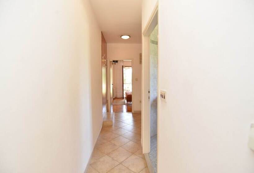 شقة غرفة واحدة, Apartment 1633