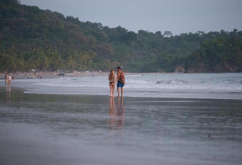 חדר משפחתי, Arboleda