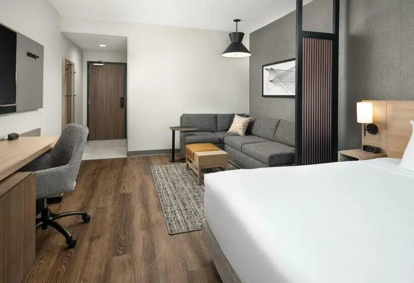 اتاق استاندارد با تخت بزرگ, Hyatt Place Amarillo West