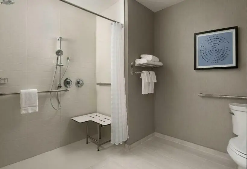 اتاق استاندارد با تخت بزرگ برای معلولان, Hyatt Place Amarillo West