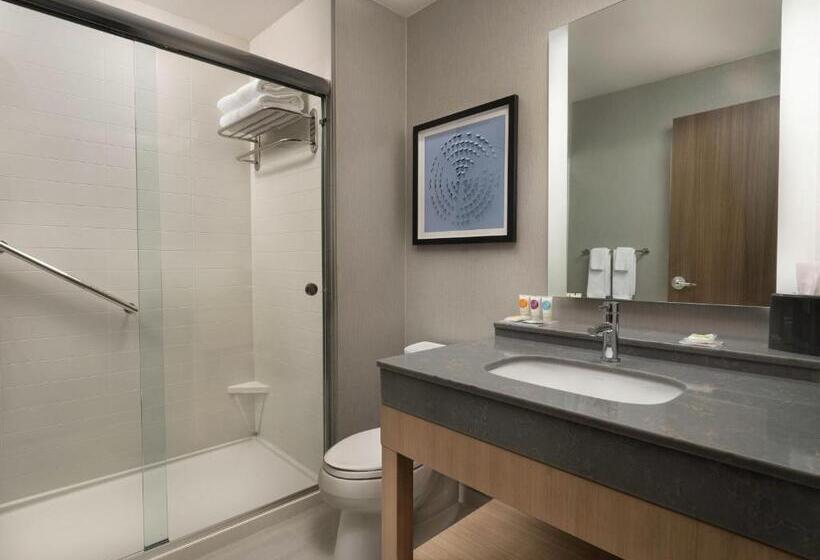 キングサイズベッドのスタンダードルーム, Hyatt Place Amarillo West