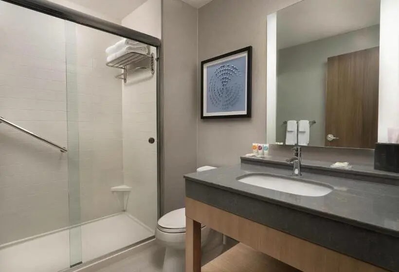 اتاق استاندارد با تخت بزرگ, Hyatt Place Amarillo West