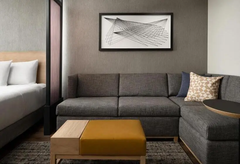 اتاق استاندارد با تخت بزرگ, Hyatt Place Amarillo West