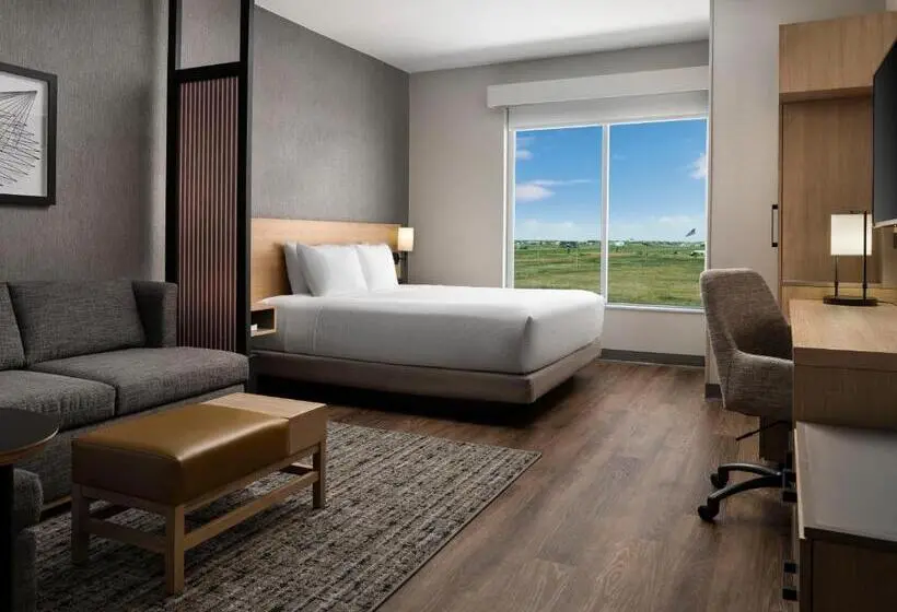 اتاق استاندارد برای معلولان, Hyatt Place Amarillo West