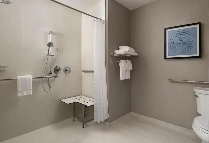 اتاق استاندارد برای معلولان, Hyatt Place Amarillo West