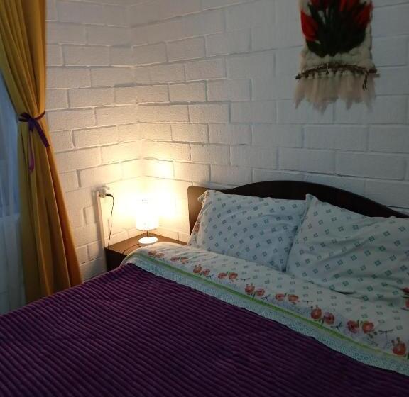 バス共有のスタンダードルーム, Hostal Newen