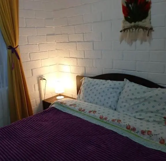 バス共有のスタンダードルーム, Hostal Newen
