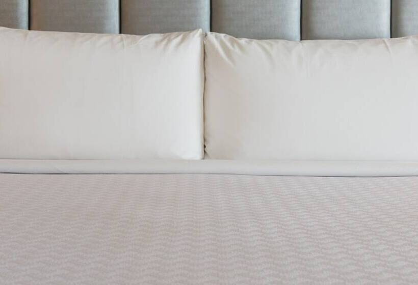 Номер Стандарт, Crowne Plaza San Francisco Airport, An Ihg