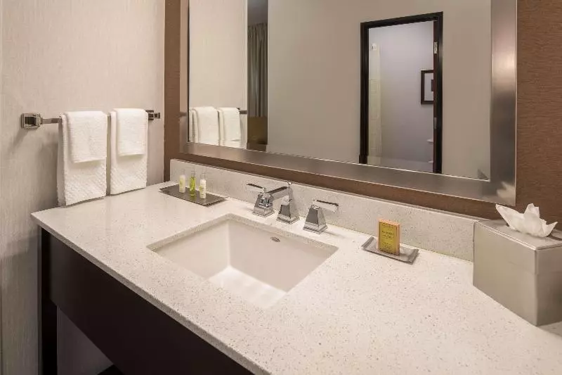 キングサイズベッドのスタンダードルーム, Doubletree By Hilton Hotel Vancouver