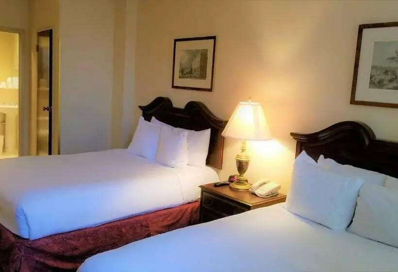 Standard-huone 2 Parivuodetta, Night Hotel Broadway
