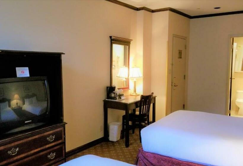 带2个双人床的标准工作室, Night Hotel Broadway