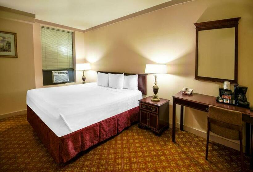 带大床的标准间, Night Hotel Broadway