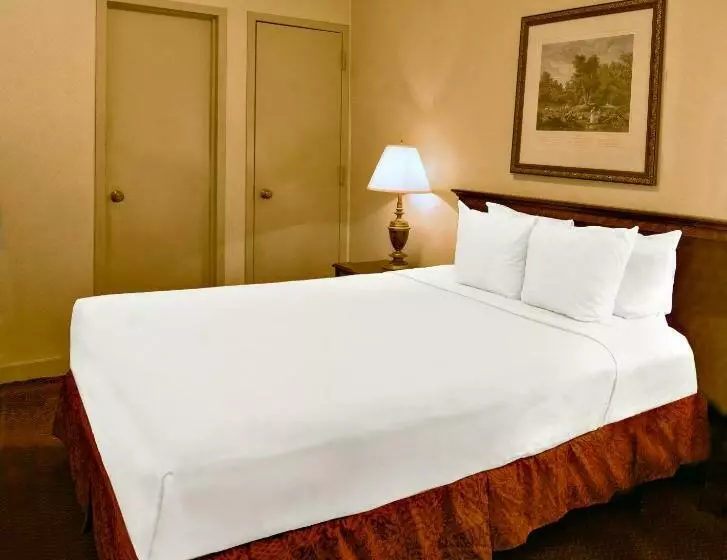 Sviitti, Night Hotel Broadway
