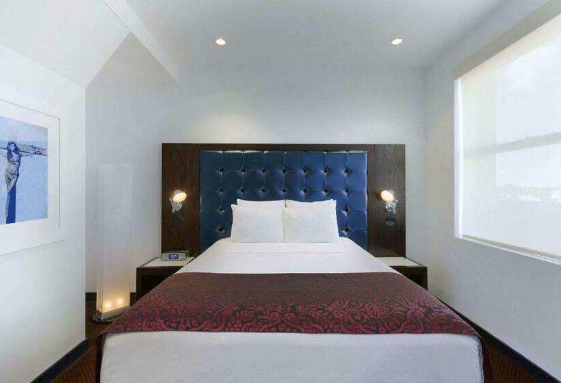 商务房间, Night Hotel Broadway