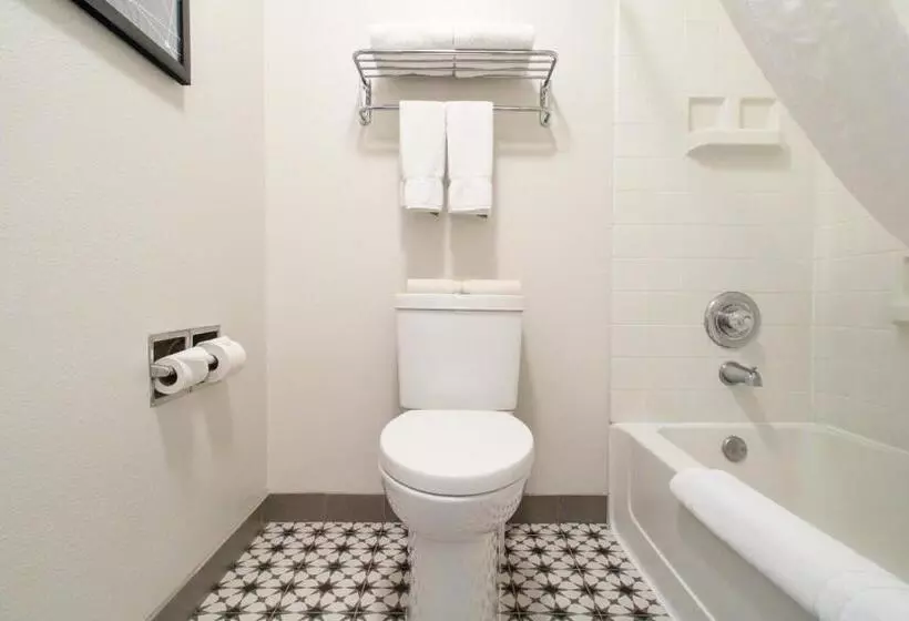 سوئیت با تخت بزرگ, Oxford Suites Chico