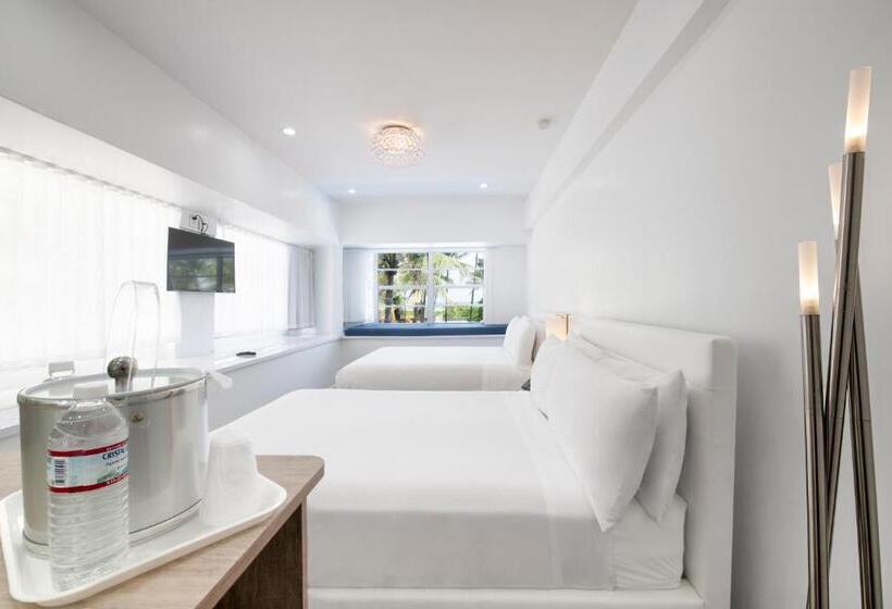 带海景的标准房, Penguin