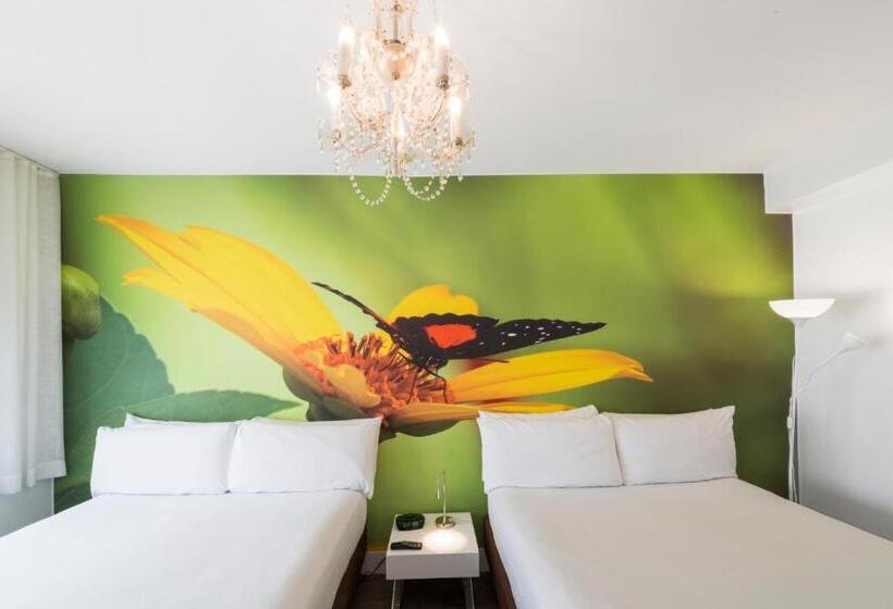 古典房间, Penguin