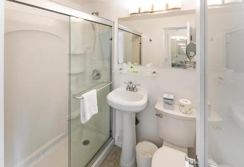 带大床的套房, Penguin