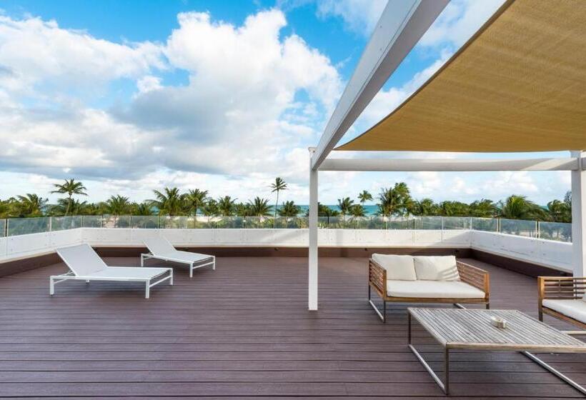 带大床的标准间, Penguin