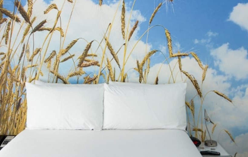 古典房间, Penguin