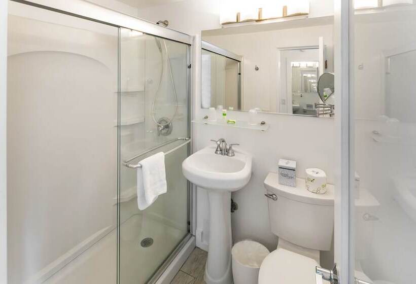 带大床的套房, Penguin