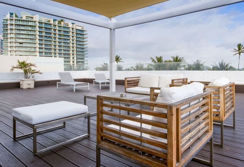 带大床的标准间, Penguin