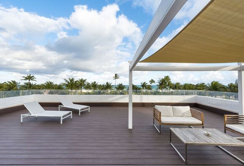 带大床的标准间, Penguin