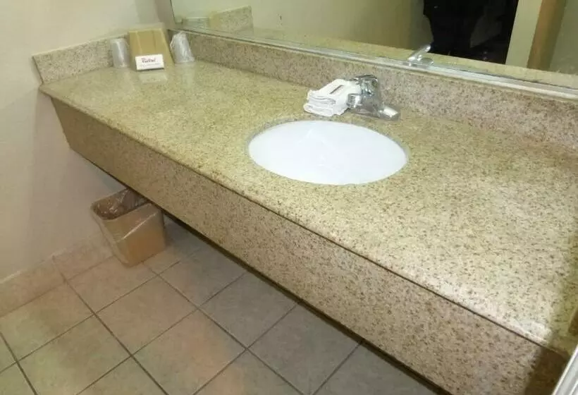 キングサイズベッドのスーペリアルーム, Red Roof Inn Memphis  Airport