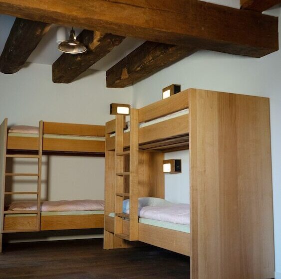Номер Стандарт Четырехместный Совместный Санузел, Schloss Burgdorf Youth Hostel