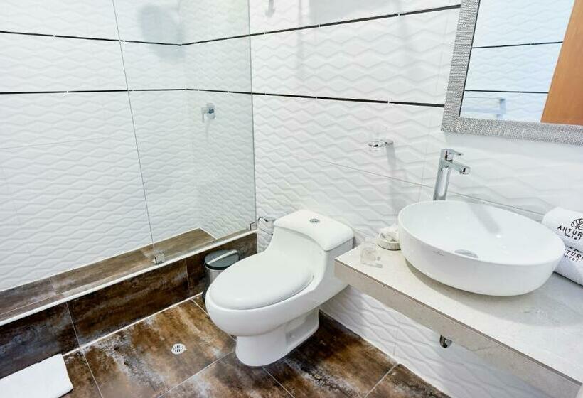 标准单人间, Anturio