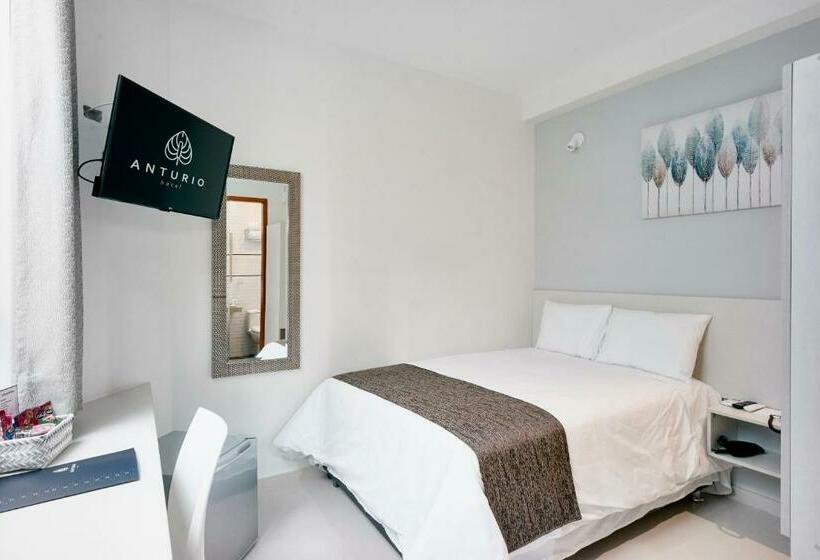 标准单人间, Anturio