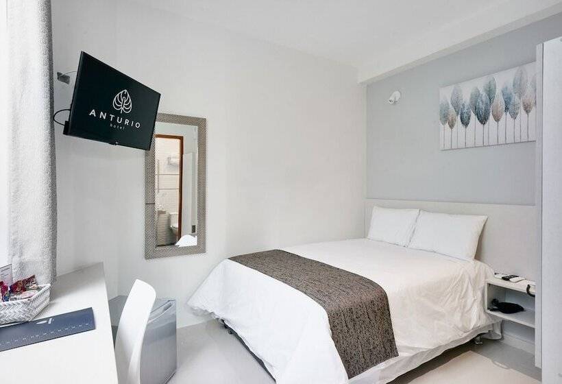 标准单人间, Anturio