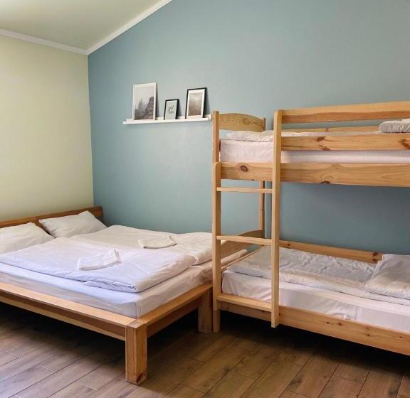 הכלכלה חדר לארבעה עם מקלחת משותפת, Dream Hostel Khmelnytskyi
