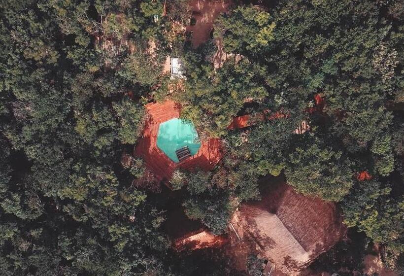 سوییت, Boutique Chacá