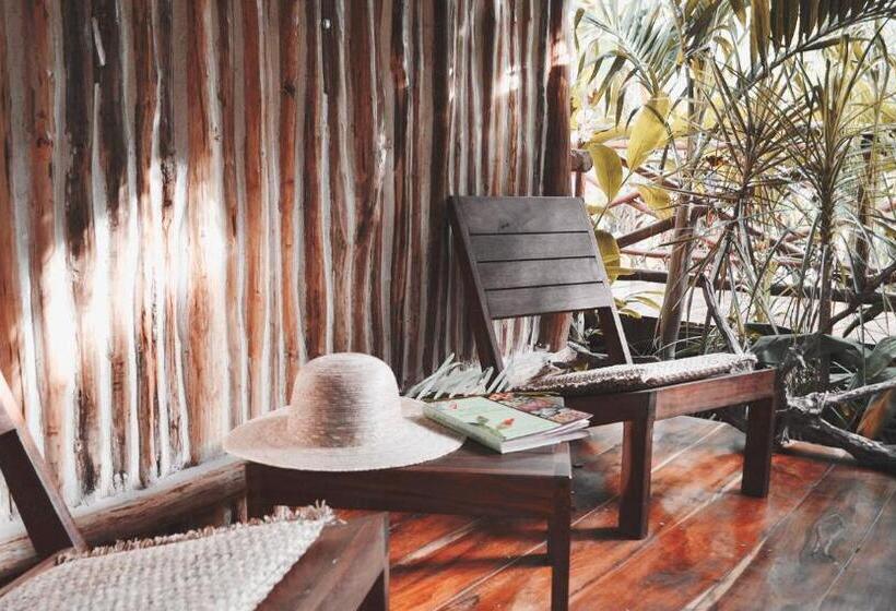 اتاق لوکس, Boutique Chacá