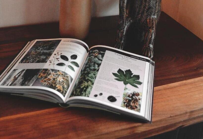 اتاق استاندارد, Boutique Chacá